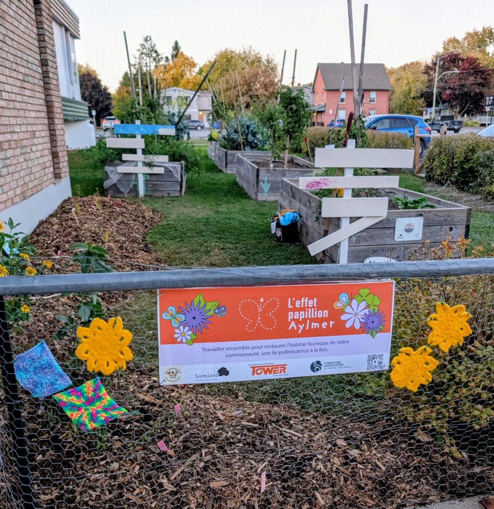 Aylmer Food Centre - phase 1 